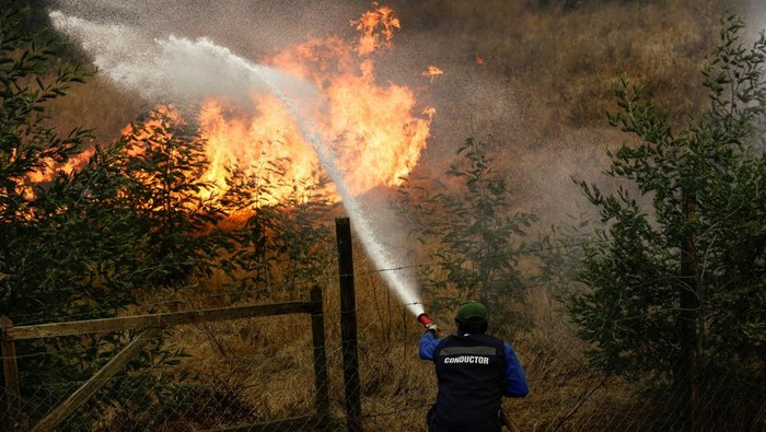 Kebakaran Hutan di Biobio Chile Picu Evakuasi Darurat Warga