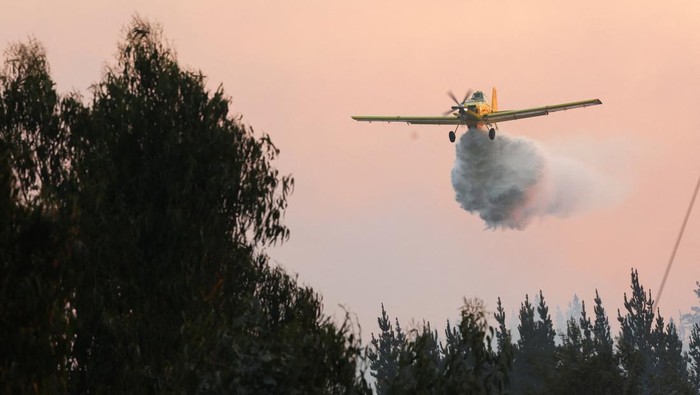 Kebakaran Hutan di Biobio Chile Picu Evakuasi Darurat Warga