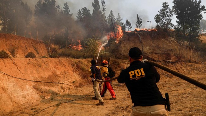 Kebakaran Hutan di Biobio Chile Picu Evakuasi Darurat Warga