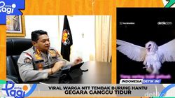 Video: Viral Warga NTT Tembak Burung Hantu Gegara Ganggu Tidur
