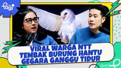Video: Viral Warga NTT Tembak Burung Hantu Gegara Ganggu Tidur
