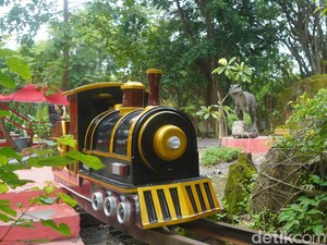 Keliling Danau KBS Naik Kereta Hutan, Ada Air Terjun dan Dino!