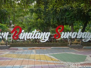 4 Fakta Penggeledahan KBS Terkait Dugaan Korupsi Sejak 13 Tahun Silam