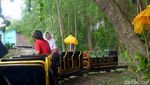 Wahana Kereta Hutan di Kebun Binatang Surabaya