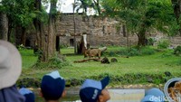 Meski begitu, perbaikan terus dilakukan dan saat ini air terjun sudah kembali mengalir sedikit demi sedikit.