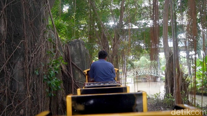 Kereta Hutan di Kebun Binatang Surabaya