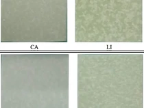 Kertas Berminyak Jadi Kemasan Ramah Lingkungan, Ini Inovasi BRIN