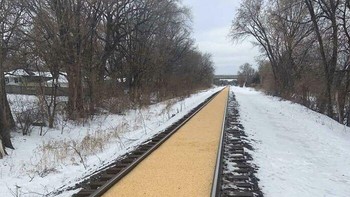 Sebuah gerbong kereta yang mengangkut jagung mengalami kebocoran. Foto: Boredpanda