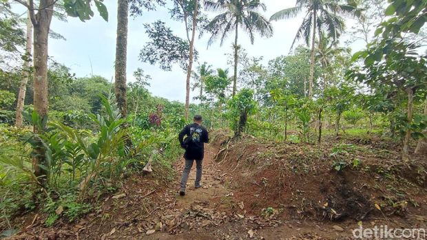 Lokasi menuju Situs Batu Tulis Citapen di Desa Sukajaya, Kecamatan Rajadesa. Lokasi menuju Situs Batu Tulis Citapen di Desa Sukajaya, Kecamatan Rajadesa.