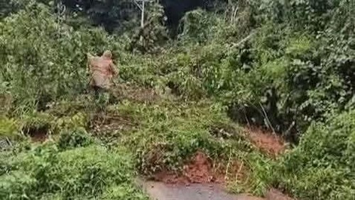 Longsor di ruas jalan Bambor-Werang di Kecamatan Sano Nggoang, Manggarai Barat, NTT, Kamis (22/1/2026).