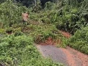 Longsor Lumpuhkan Dua Akses Vital di Manggarai Barat