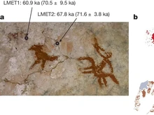 Jalan Panjang Penelitian Lukisan Gua Tertua di Dunia, Ada di Sulawesi Tenggara