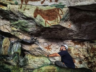 Potret Lukisan Gua Tertua di Dunia Berusia 67.800 Tahun di Muna Sultra