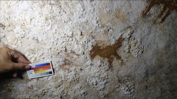 Lukisan gua tertua di dunia ada di Muna Sultra Indonesia