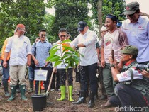 Tanam Kakao di Bandung, Zulhas Targetkan Indonesia Swasembada Cokelat