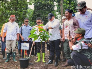 Tanam Kakao di Bandung, Zulhas Targetkan Indonesia Swasembada Cokelat