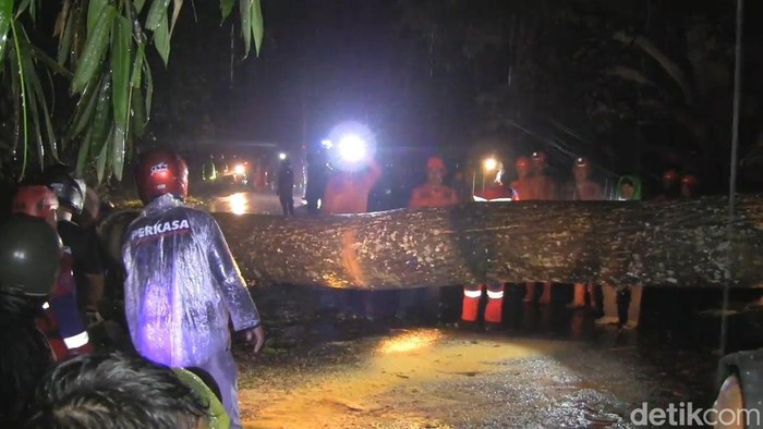 Pohon tumbang di Jalan Cagak Subang