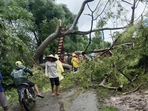 Banjir-Angin Kencang di Bima, 1 Mahasiswa Tewas Tertimpa Pohon Tumbang