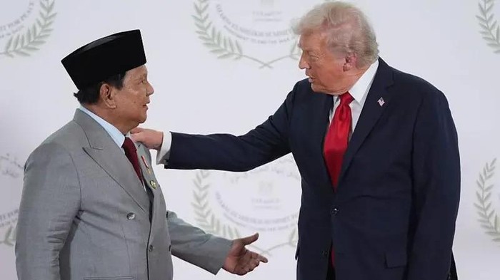 RI Gabung Dewan Perdamaian Bentukan Trump, Apa yang Diketahui Sejauh Ini?
