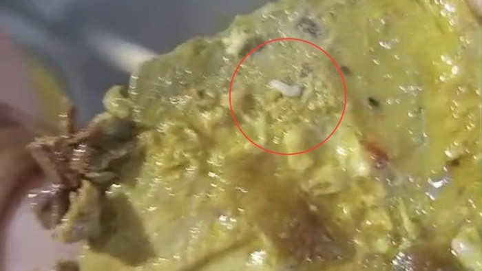 Ada Ulat di Menu MBG Siswa SDN 166 Pinrang, Diduga dari Ikan Tuna