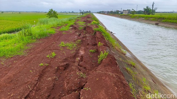 Waduh, Tanggul Sungai Karanganyar Demak Ambles