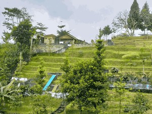 Staycation di Puncak Bogor, Ramah Buat Kantong Mahasiswa