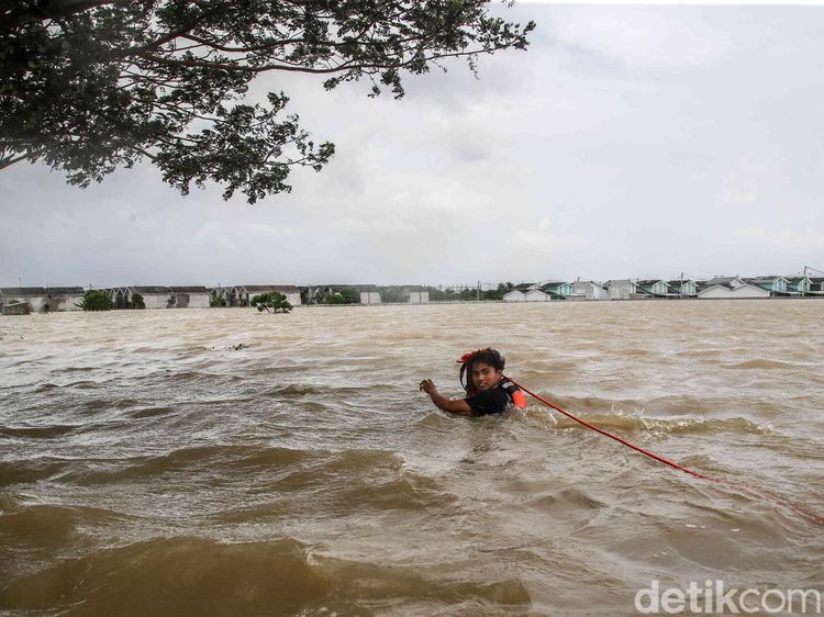 Banjir 1,5 Meter Rendam Perumahan Subsidi Green Permata Residence Bekasi