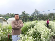 Kisah Bopak, Ubah Kebun Bunga Pikok di Kuningan Jadi Sumber Cuan
