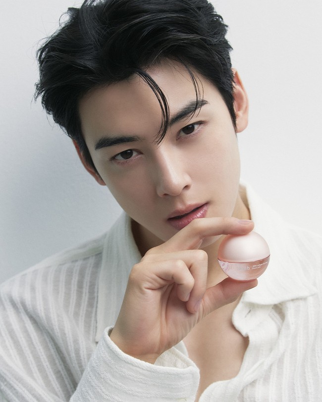 Di awal 2026, Cha Eun Woo dan ibunya terungkap sudah diperiksa Dinas Pajak Nasional atas tuduhan penggelapan pajak. Merek perawatan kulit Abib mengambil langkah untuk menghapus iklan videonya. Foto: dok. Instagram @abib.global