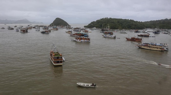 Turis Asing Berwisata Ilegal di TN Komodo, HPI: Pemandu Kami Tidak Terlibat