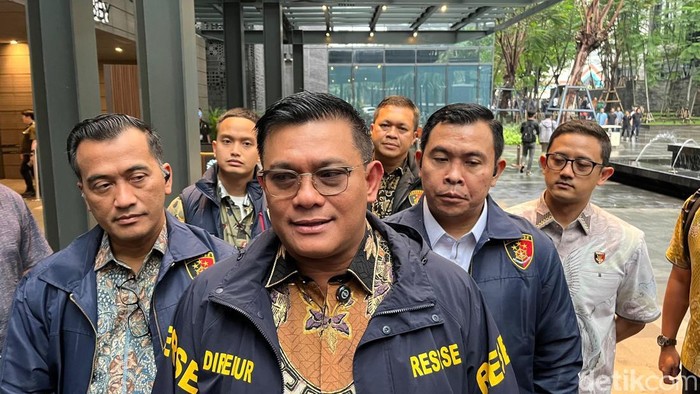 Direktur Tindak Pidana Ekonomi Khusus (Dirtipideksus) Bareskrim Polri Brigjen Ade Safri Simanjuntak (Ondang/detikcom)