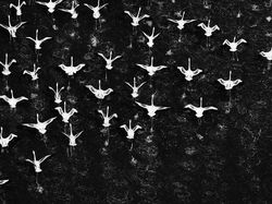 Jawara Kontes Foto Hitam Putih yang Bikin Mata Tak Berkedip