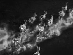 Jawara Kontes Foto Hitam Putih yang Bikin Mata Tak Berkedip