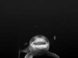 Jawara Kontes Foto Hitam Putih yang Bikin Mata Tak Berkedip