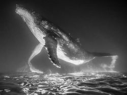 Jawara Kontes Foto Hitam Putih yang Bikin Mata Tak Berkedip