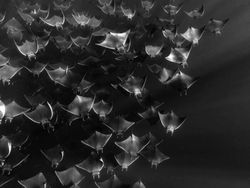 Jawara Kontes Foto Hitam Putih yang Bikin Mata Tak Berkedip