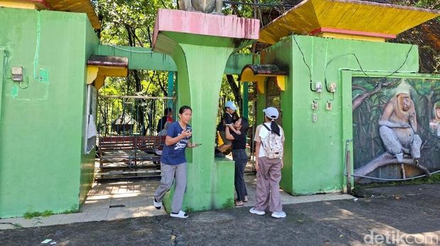 Kawasan Konservasi Mangrove dan Bekantan (KKMB) Hiruk pikuk aktivitas perkotaan seringkali membuat penat. Namun, warga maupun wisatawan di Kota Tarakan, Kalimantan Utara tak perlu pergi jauh untuk mencari ketenangan. Kawasan Konservasi Mangrove dan Bekantan (KKMB) hadir sebagai oasis hijau di tengah kota yang menawarkan udara segar sekaligus wisata edukasi satwa endemik.
