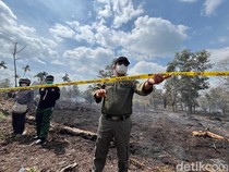 Polisi Segel Lokasi Karhutla di Kubu Raya, Penyelidikan Dimulai
