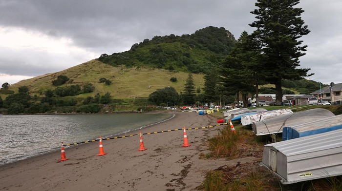 Longsor Terjang North Island Selandia Baru