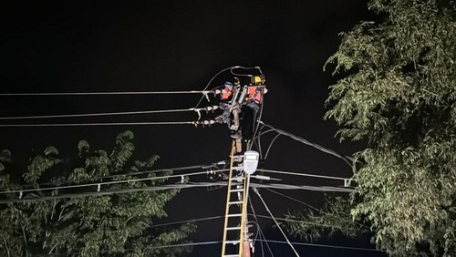 PLN Larantuka membersihkan jaringan yang rusak di tengah cuaca hujan angin.