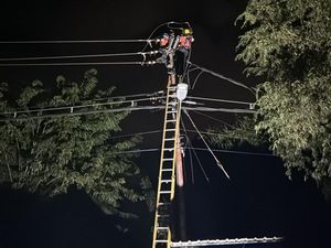 Cuaca Ekstrem Rusak 6 Jaringan Listrik Flores Timur, PLN Kerahkan 30 Petugas