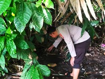 Dikira Bangkai, Mayat Bayi Ditemukan di Pinggir Sungai Sekarteja