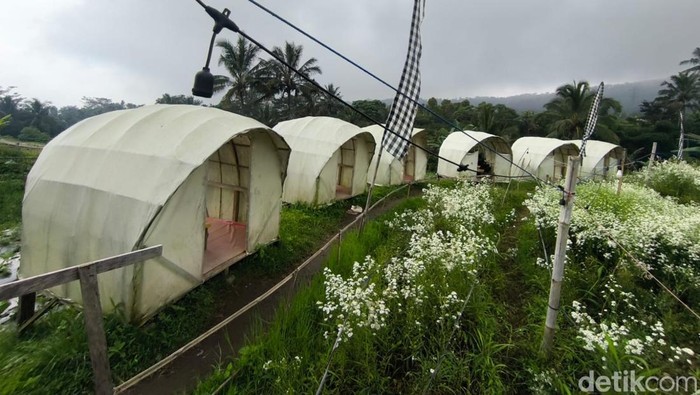 Suasana Saung Lumbung Kuningan