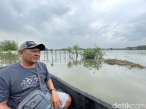 Banjir Bikin Ribuan Hektare Tambak di Pati-Pemalang Rugi hingga Rp 17 M