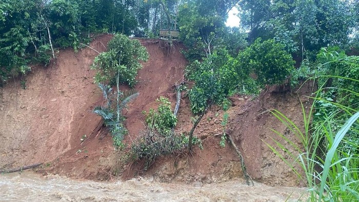 Tebing Sungai Kupang di Desa Krompeng, Kecamatan Talun, Pekalongan, longsor, Jumat (23/1/2026). Dua rumah terdampak.