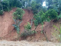Longsor di Talun Pekalongan, 2 Rumah Rusak-17 Orang Mengungsi