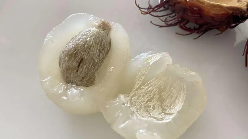 Tragis! Bocah di Malaysia Meninggal Tersedak Biji Rambutan