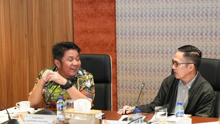 Ratu Dewa Temui Gubernur Sumsel Bahas Program Nasional-Perluasan Wilayah