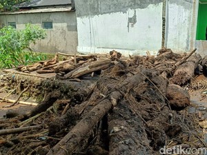 Ngerinya Banjir Bandang Bawa Gelondongan Kayu di Sangkanayu Purbalingga