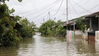 Ngeri Perumahan Subsidi Bak Danau Gara-gara Banjir di Bekasi